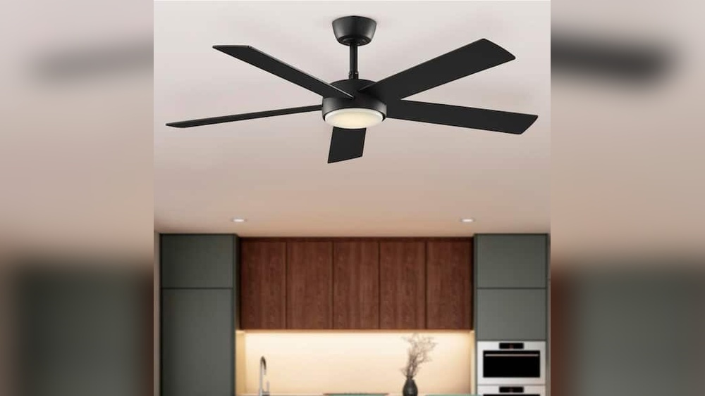 • Ceiling Fans With Lights